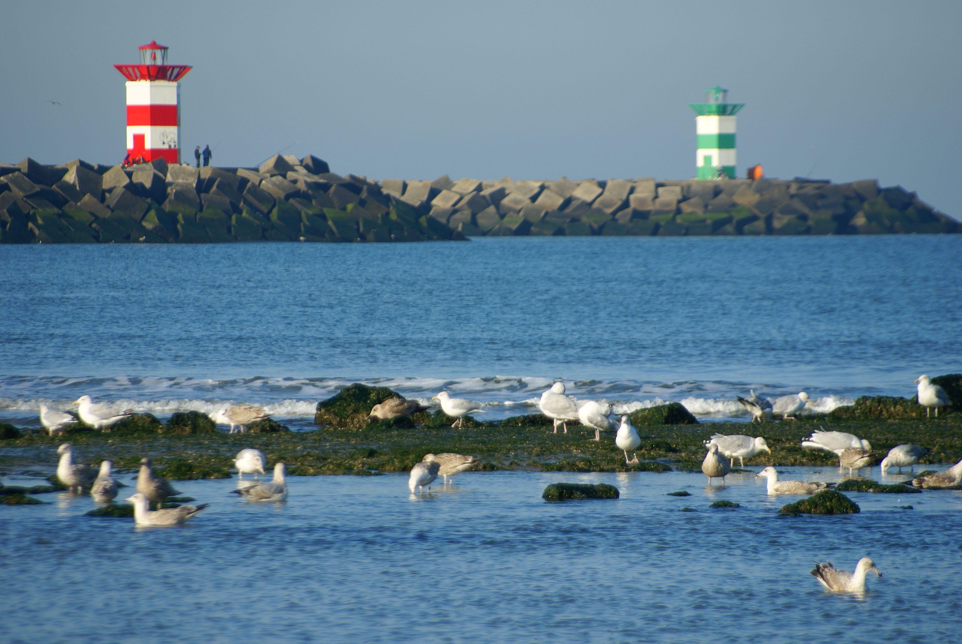 Boulevard Scheveningen Hotel